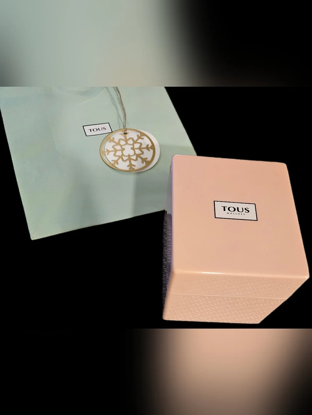 NEW Authentic TOUS Pink Watch Box Case Set Bag Pillow Booklet Complete Bundle
